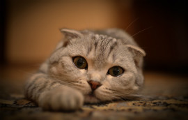 Sample Photo 05